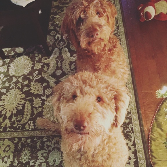 Meet your Posher, Krista - Picture 4 of 7